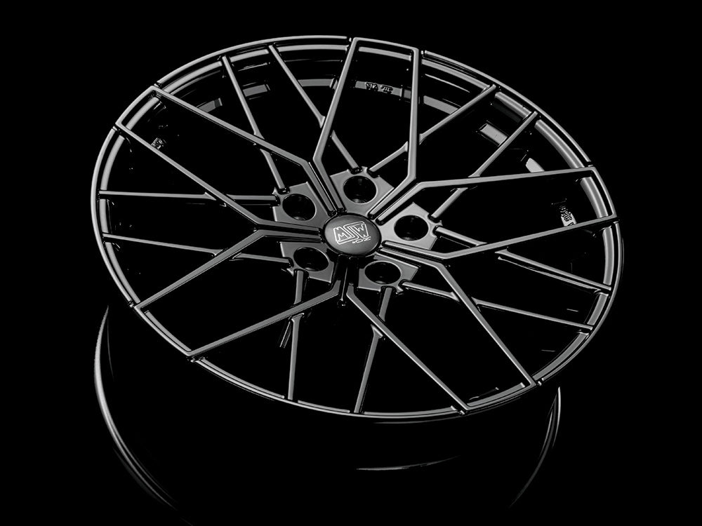 CERCHIO MSW 74